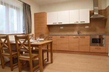 EFI ApartHotel Horní Lipová - kitchenette